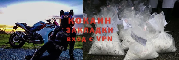 дживик Ельня