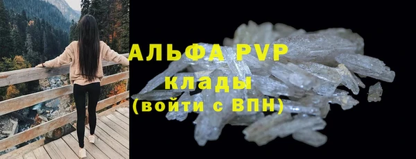 дживик Ельня