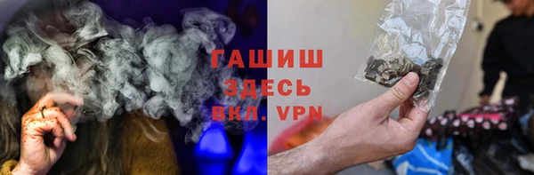 дживик Ельня