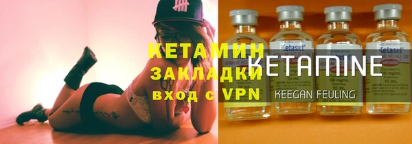 дживик Ельня