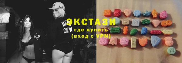 дживик Ельня