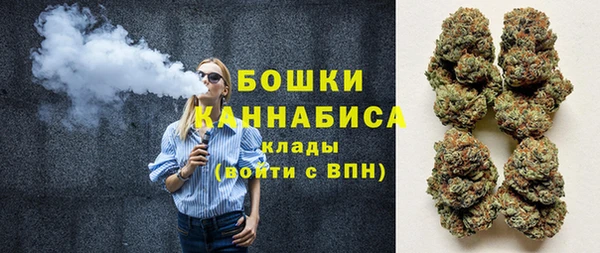 дживик Елабуга