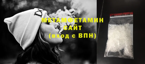 дживик Ельня