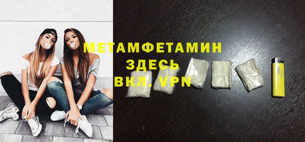 дживик Ельня