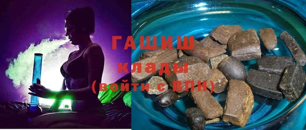 дживик Ельня