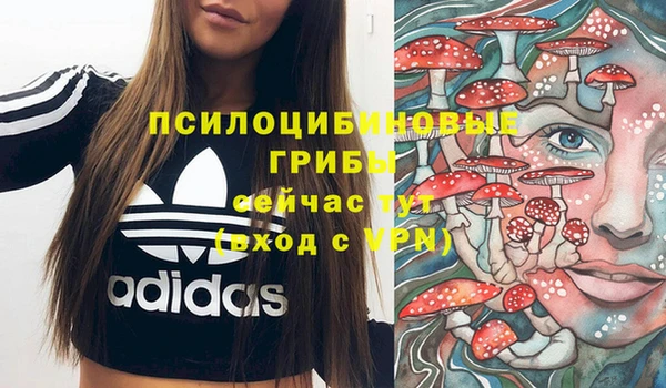 дживик Ельня