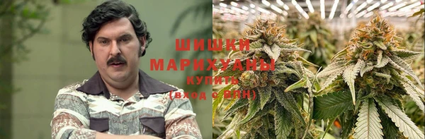 дживик Елабуга