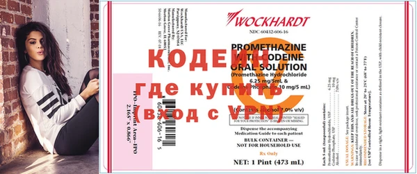стаф Чердынь