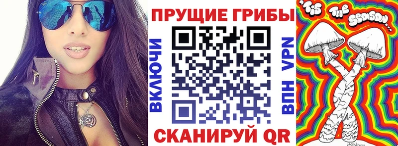 Псилоцибиновые грибы мухоморы  Болхов 